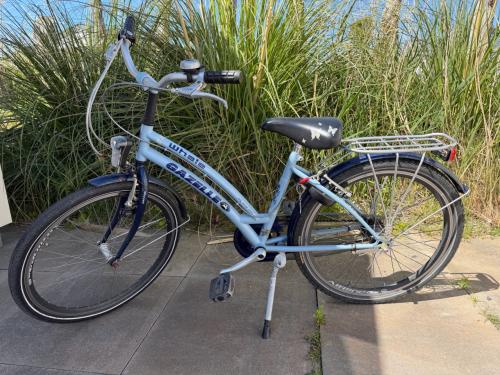 Kinderfiets Gazelle Whale framemaat 38cm met 3 versnellingen