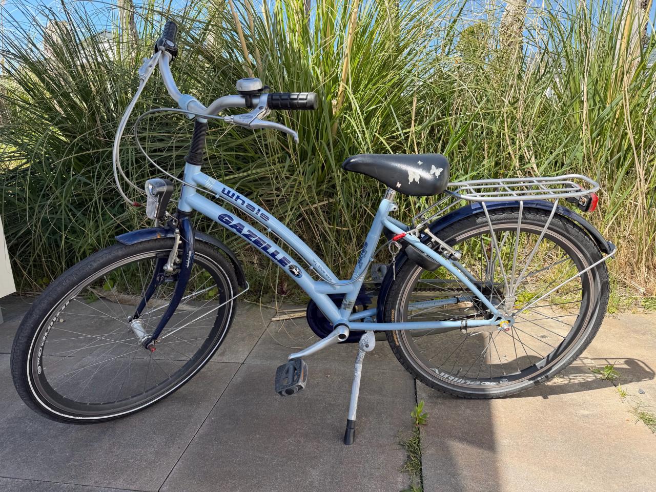 Kinderfiets Gazelle Whale framemaat 38cm met 3 versnellingen