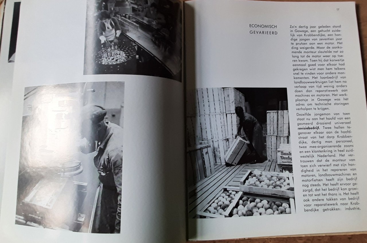 Krabbendijke, door Kees van der Maas, M.P. de Bruin en Wim Riemens