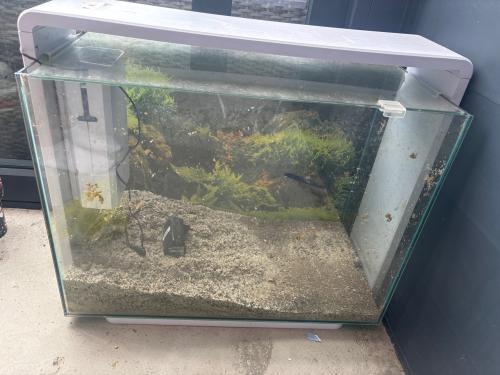 Aquarium superfish home 60