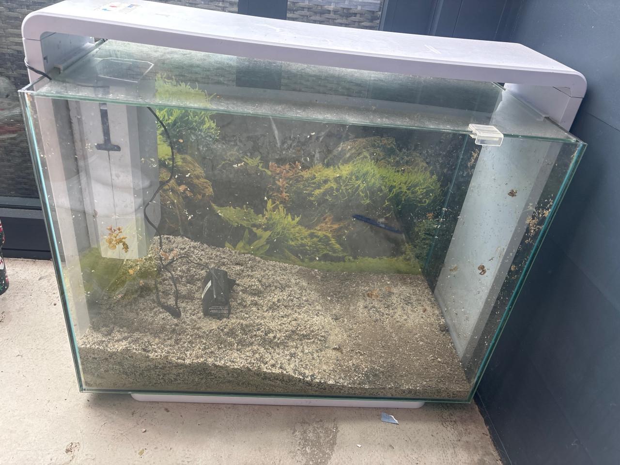 Aquarium superfish home 60