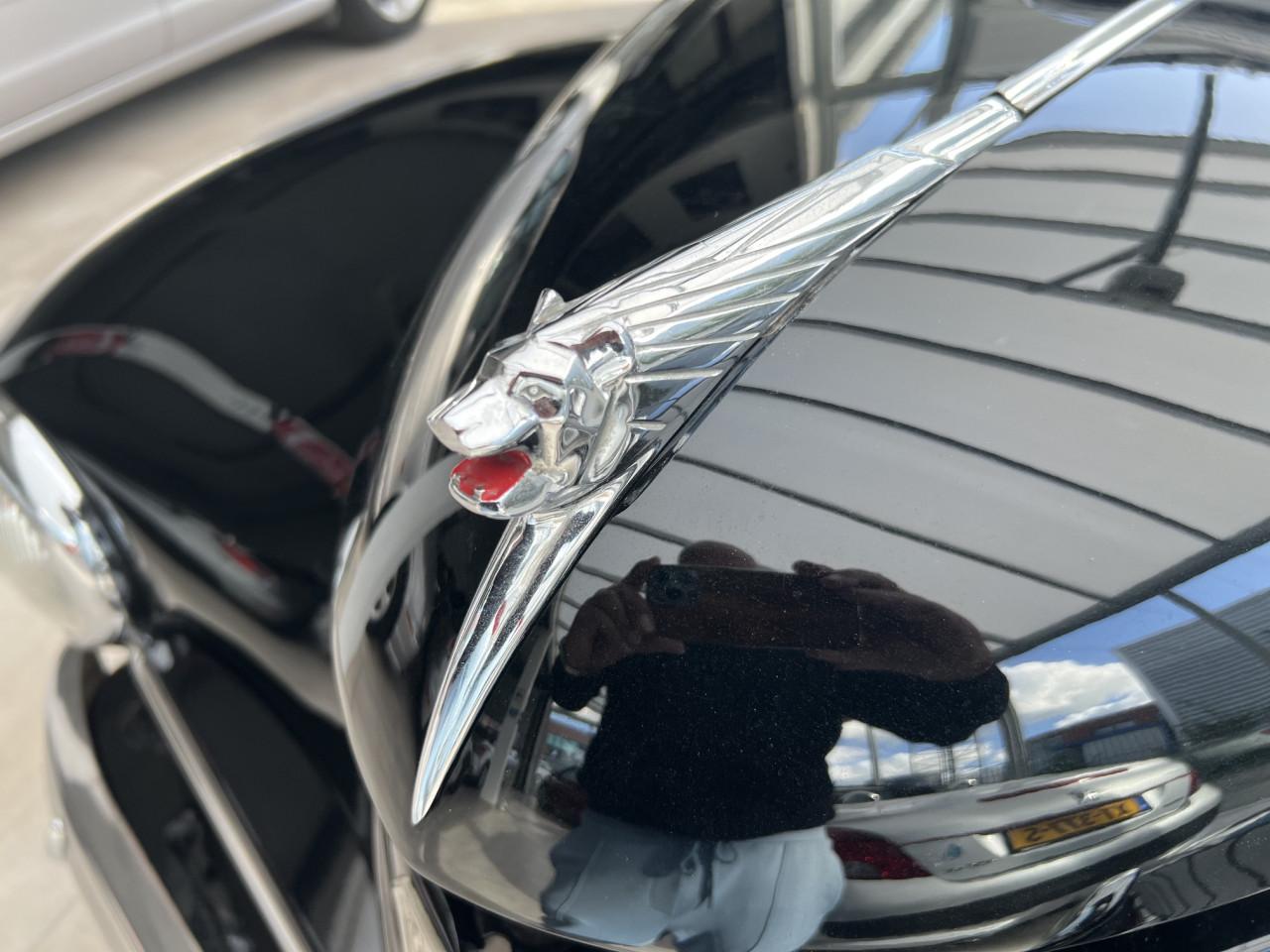 Schitterende Peugeot 203 uit 1955