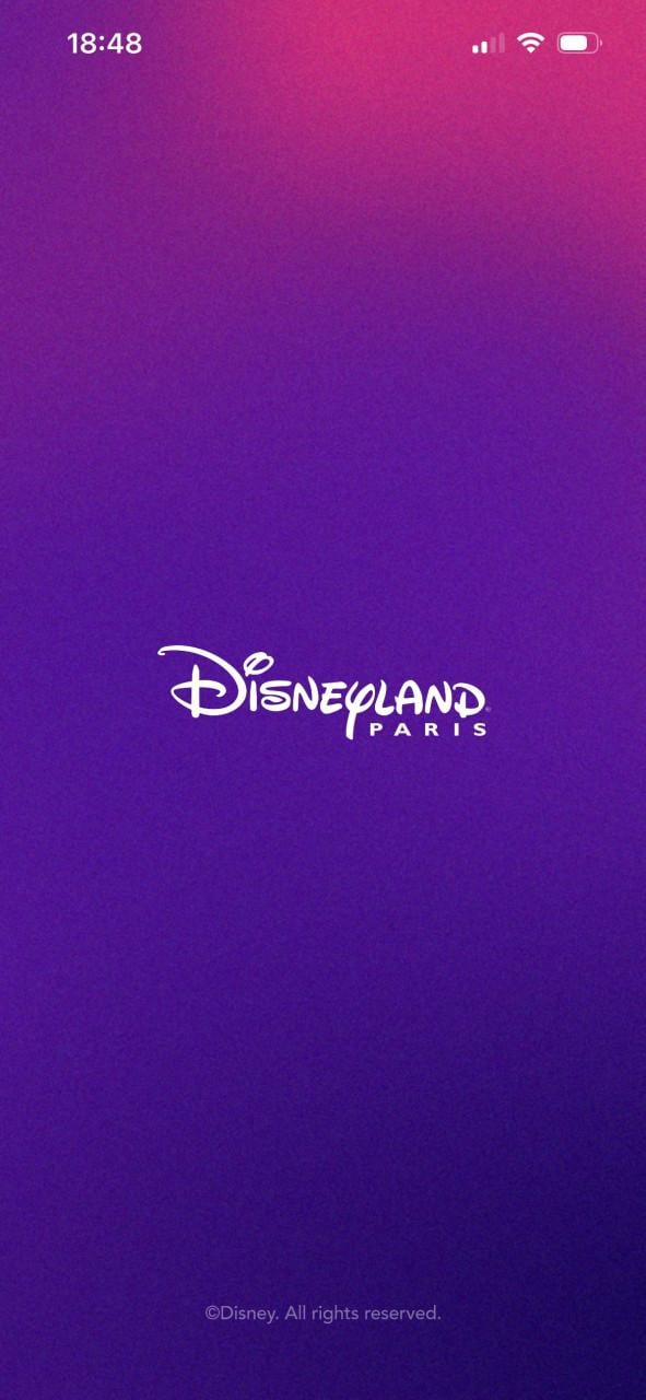Vouchers demi pension plus Disneyland Parijs