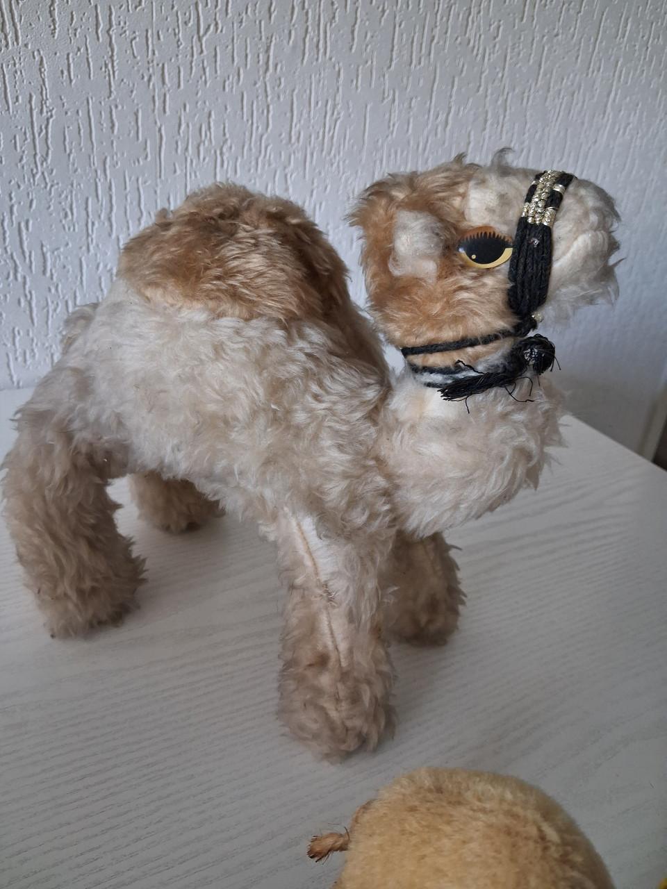 Vintage Mohair en Steiff dromedarissen