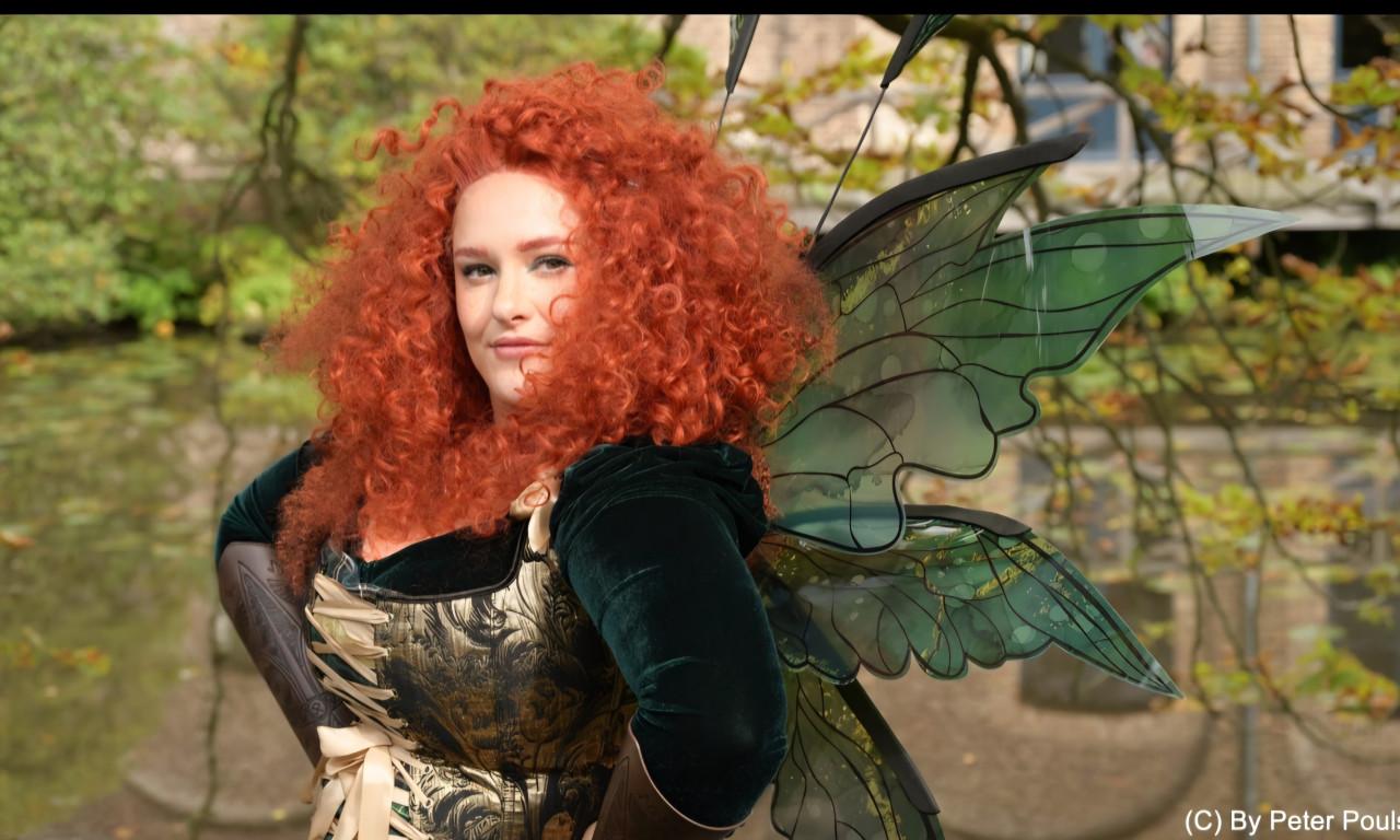 Fairy wings cosplay