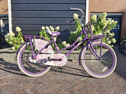 Meisjesfiets