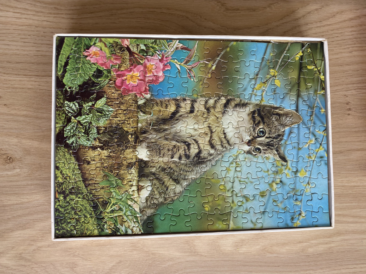 Jumbo puzzel