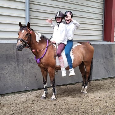 Ponykamp In Middelburg!