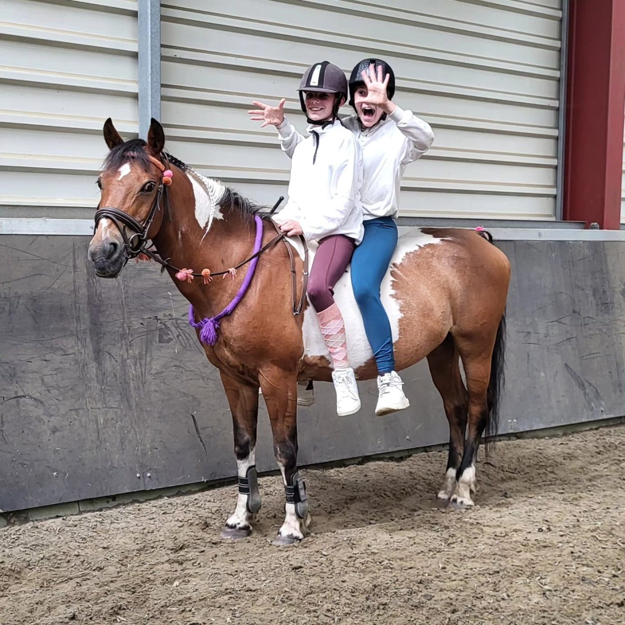 Ponykamp In Middelburg!