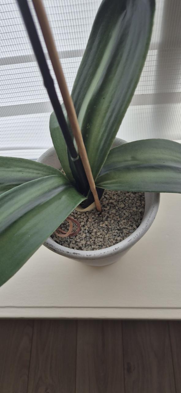 Orchidee kunstbloem wit