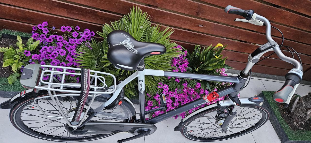Gazelle Eclipse Limited 65 cm Herenfiets