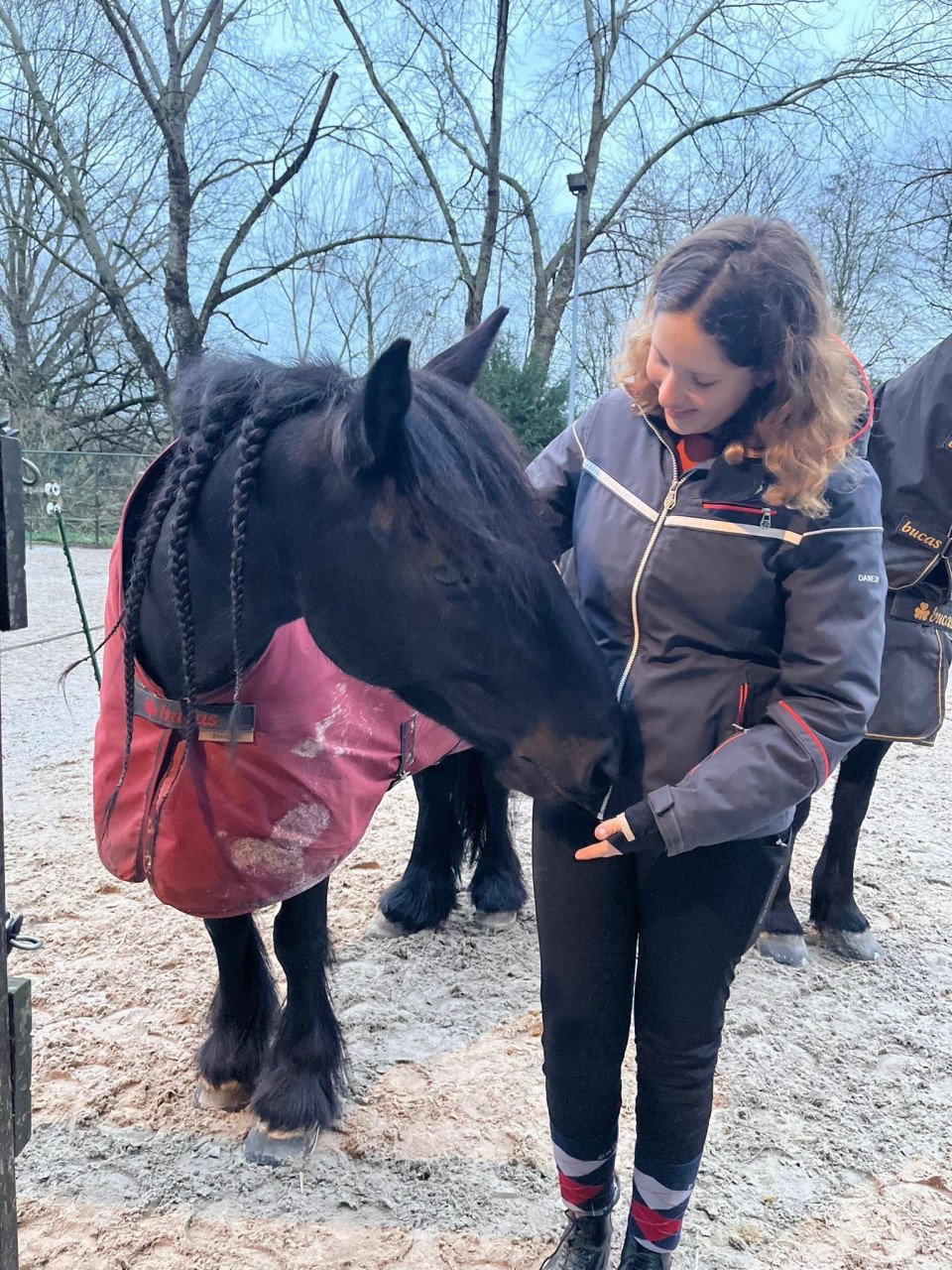 Verzorg pony gezocht