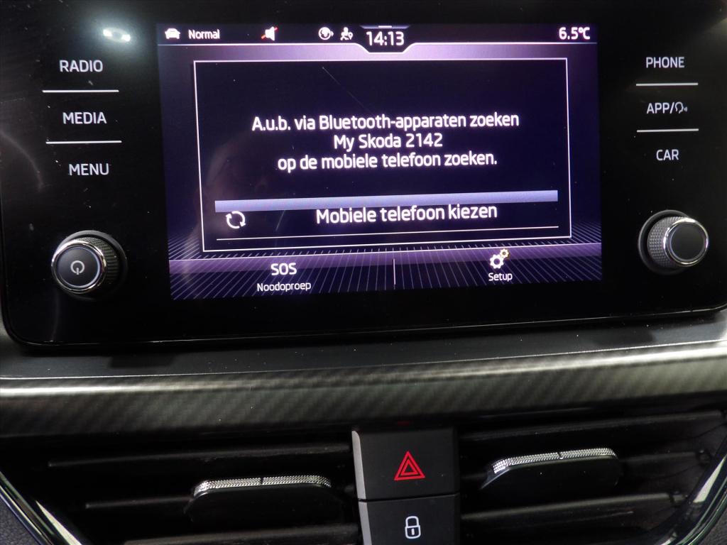 Skoda Kamiq 1.0 tsi greentech 110pk dsg-7 monte carlo