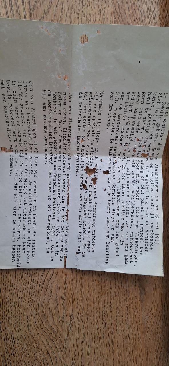 Schilderij bosvennetje van Jan van Vlaardingen