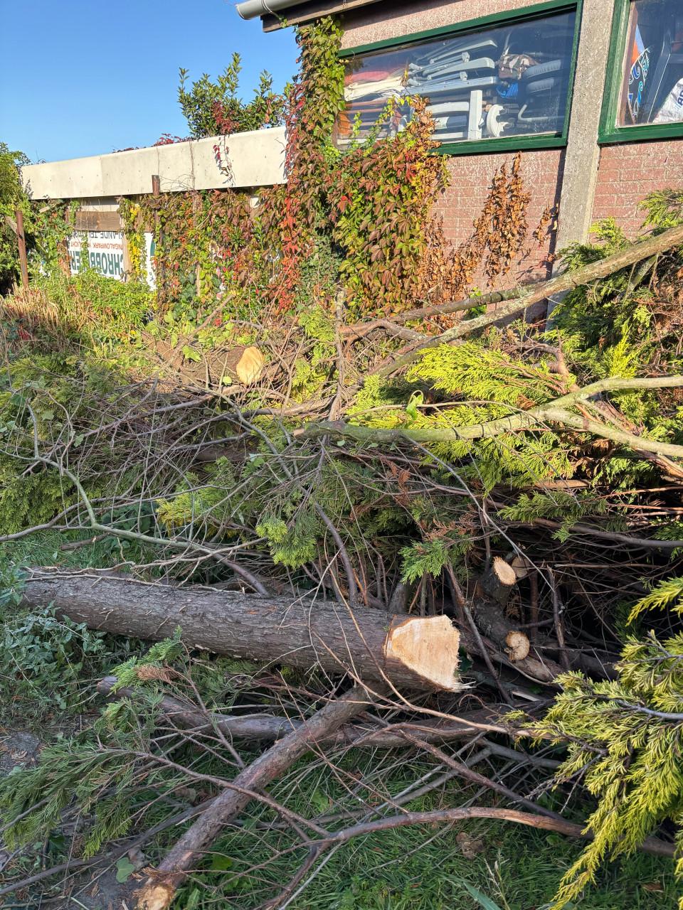 Gratis haardhout