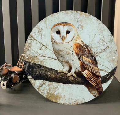 Kerkuil ( metaal decoratie )