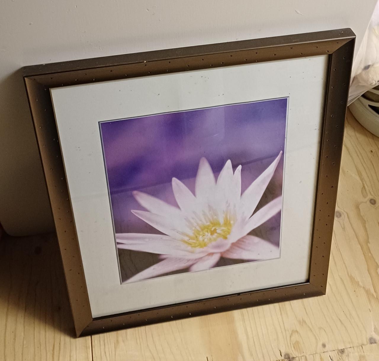 Fotolijs  lijst met afbeelding