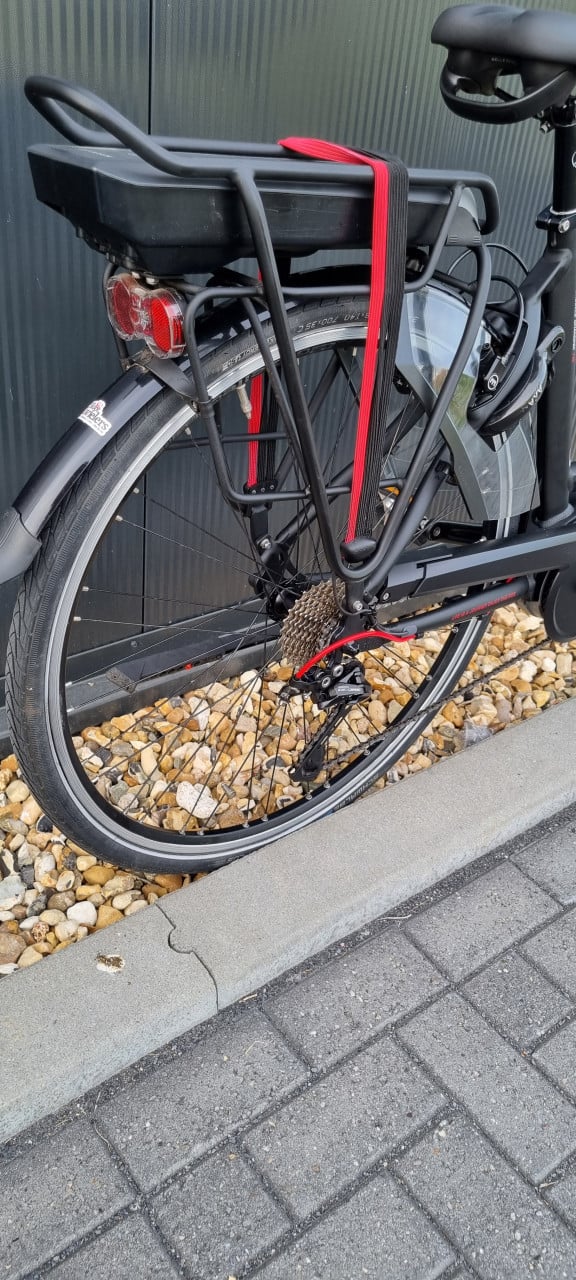 Gazelle Chamonix T10 HMB Sportive 53cm Bosch systeem