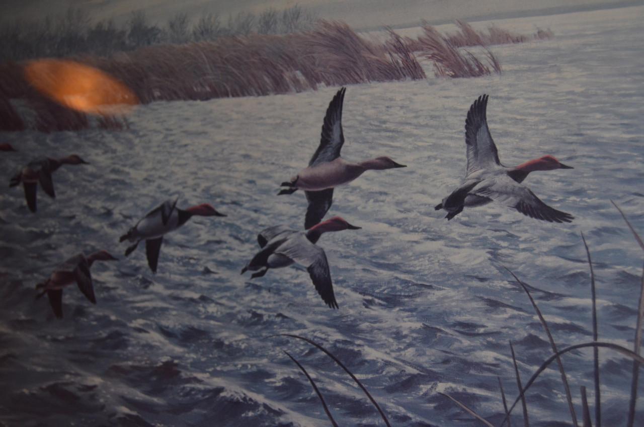 Maynard Reece art-print 1972 Eenden in zeer goede staat