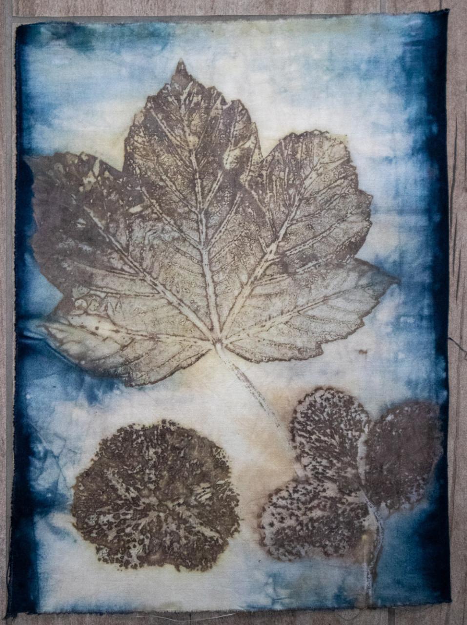 Wandelen, Wildplukken en Ecoprinten