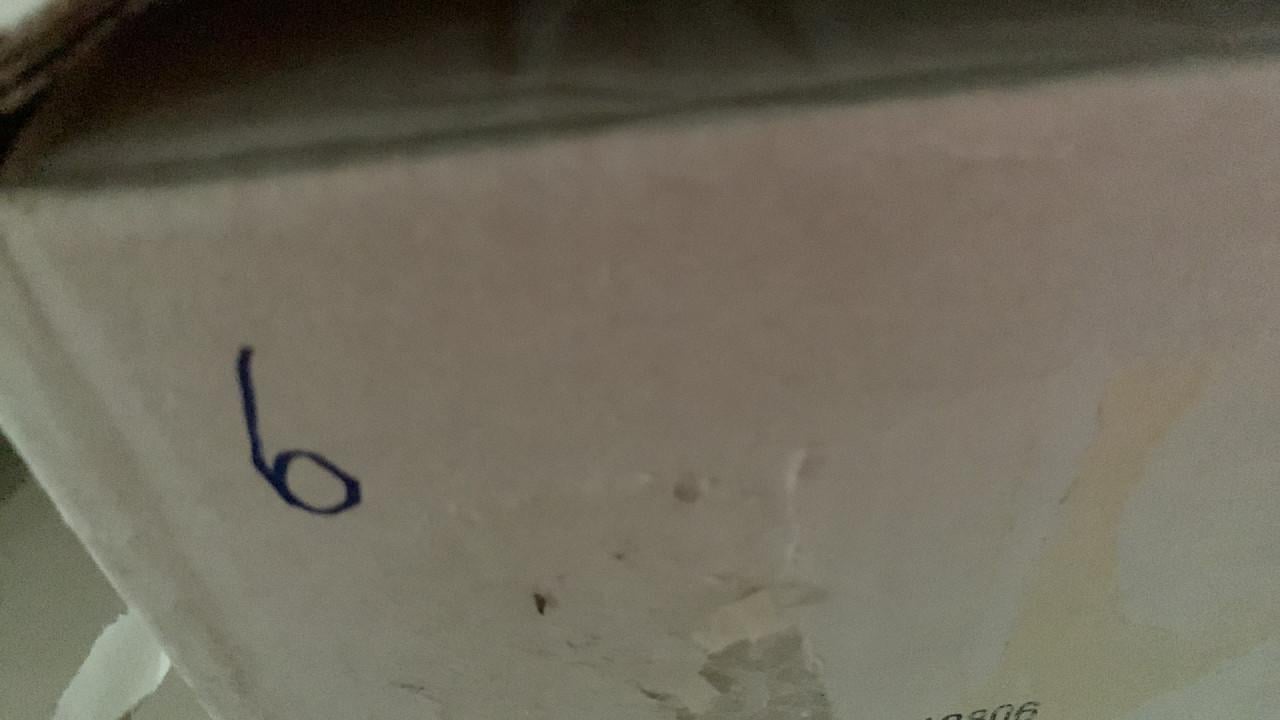 Kerstboom 1. 80 m hoog