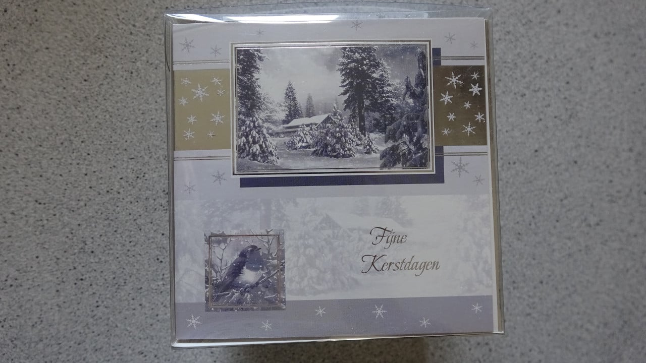 Kerst - Nieuwjaars Folie/Glitterkaarten box (30 stuks) nieuw