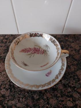 Kop en schotel Lupine servies van Eschenbach