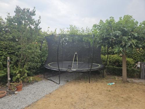 Trampoline 4,2m diameter