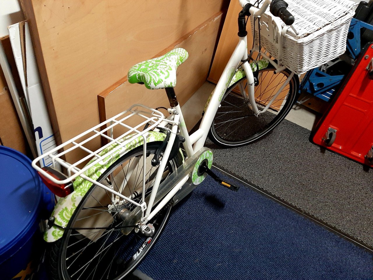 Meisjes fiets