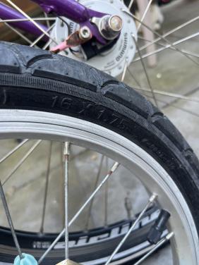 Meiden fietsen