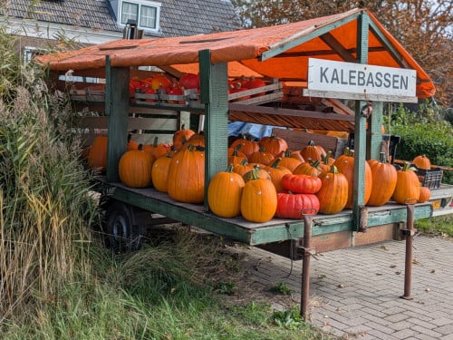 Halloween pompoenen