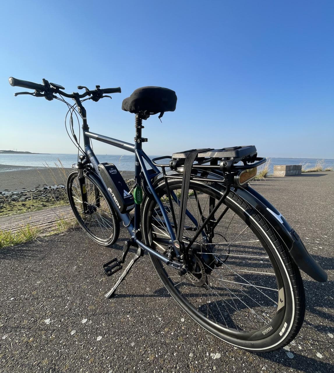 Custom build Pegasus e-bike.