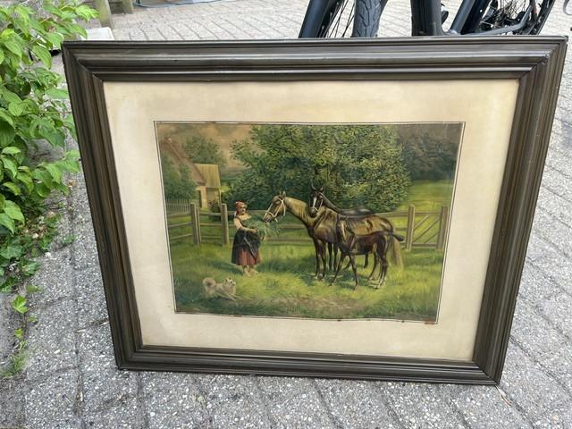 Lijst afbeelden met paarden