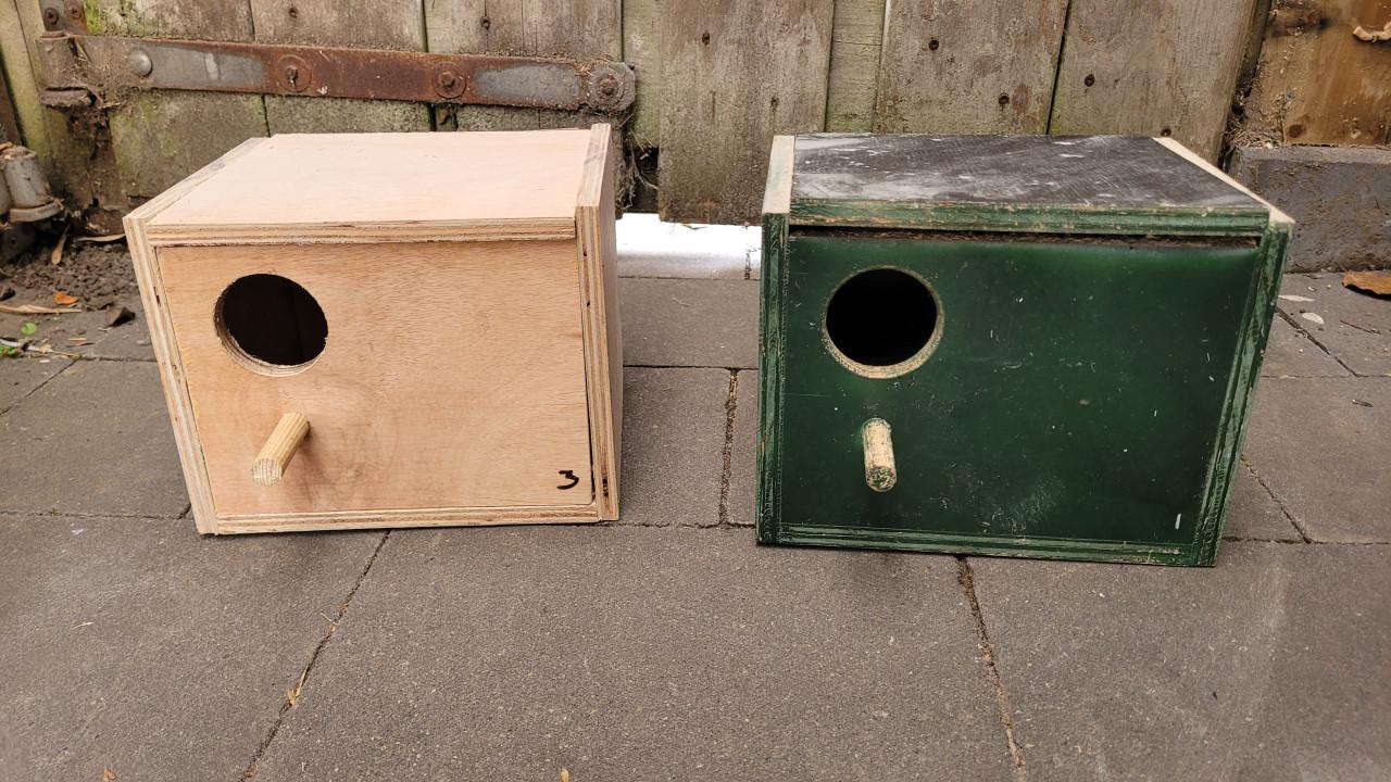 Nestblokken gras/catarinaparkieten agapornis