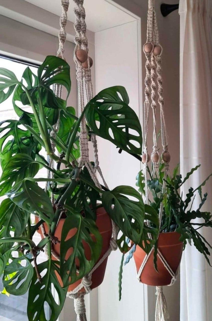 Macramé plantenhangers