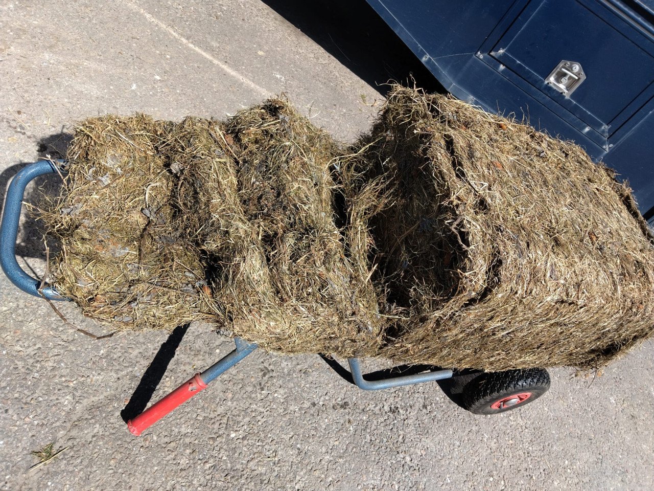 Kleine baaltjes kuil gras met klaver 50 kg