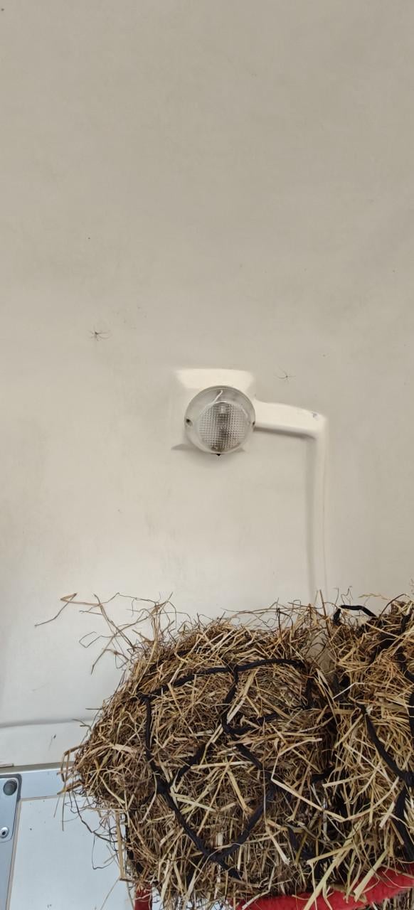 Weijers Traveller 1,5 paardstrailer