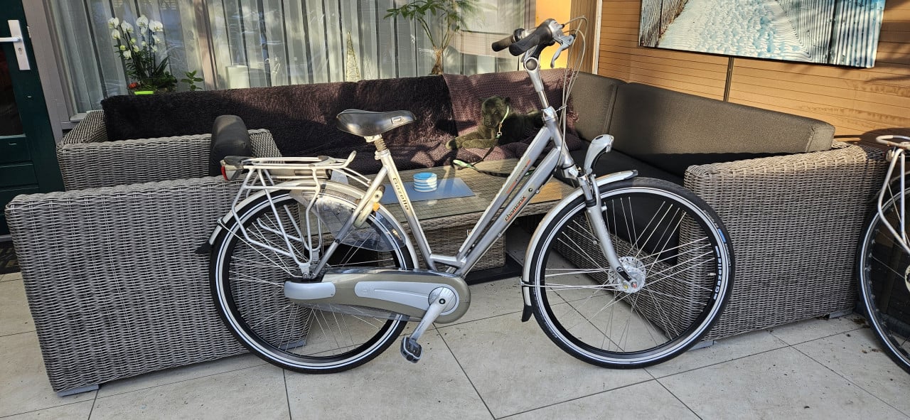 Gazelle Chamonix Premeur Damesfiets