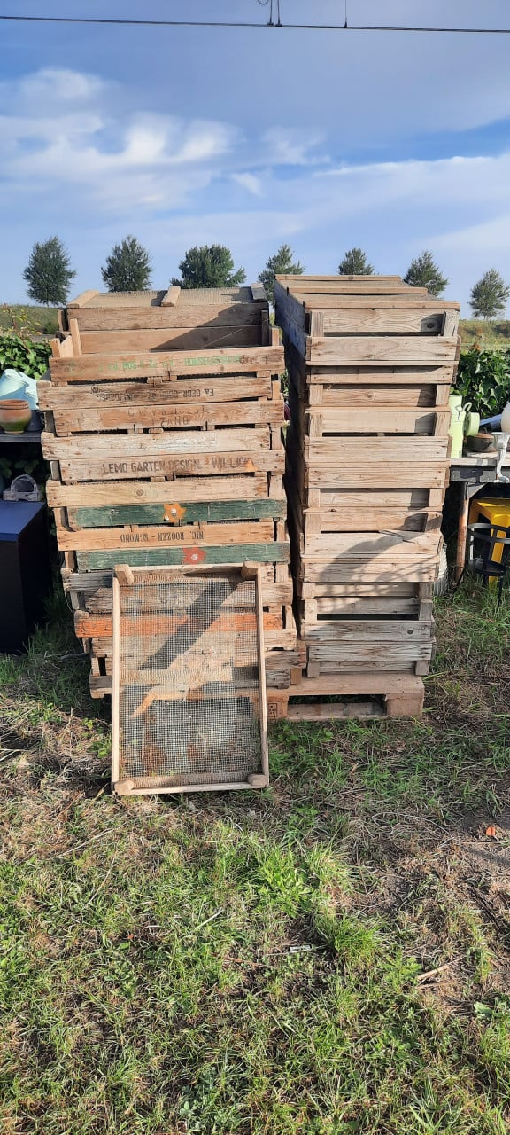 Bloembollen  krat