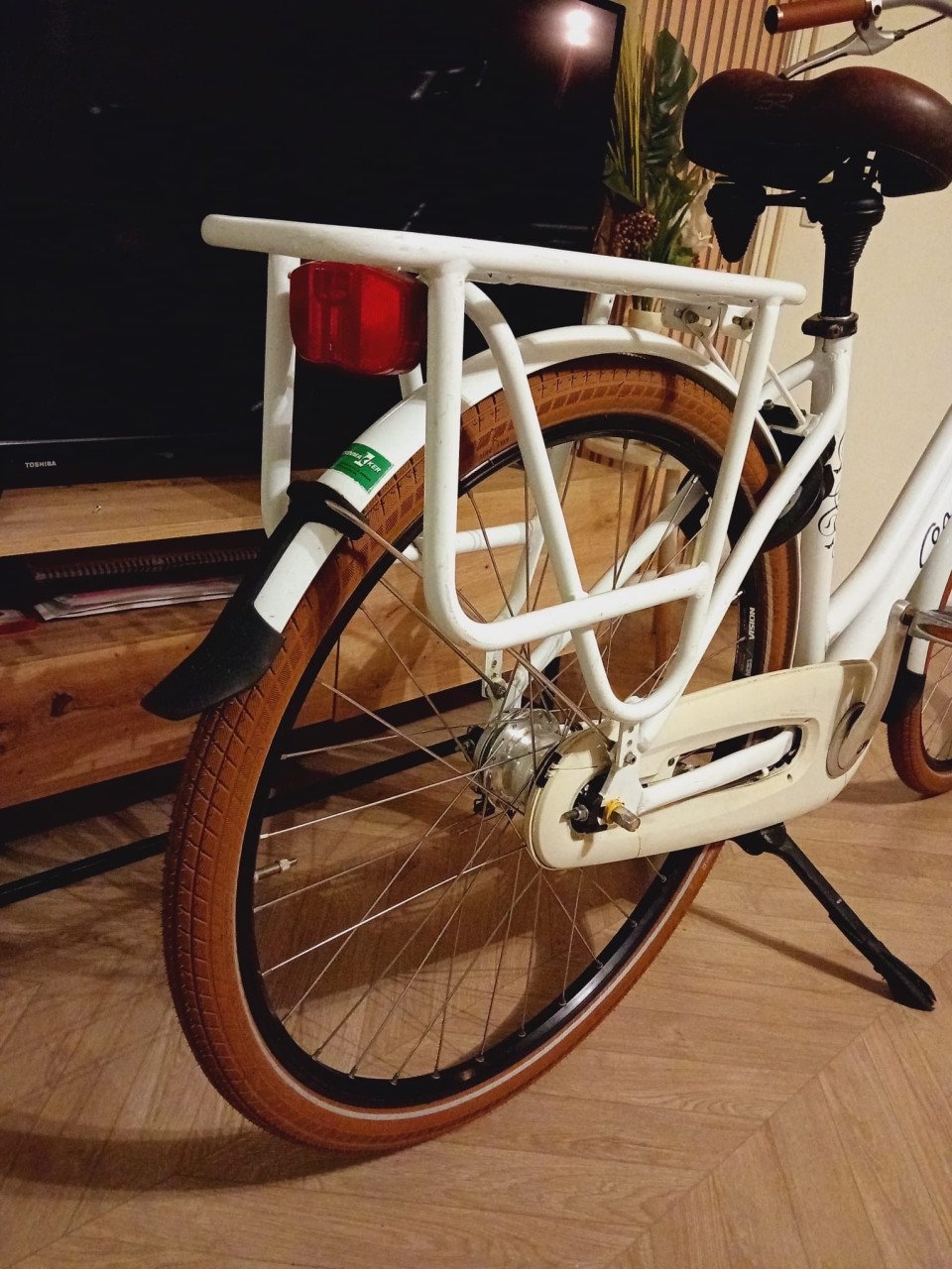 Mooie Gazelle Miss Grace Z.G.A.N.