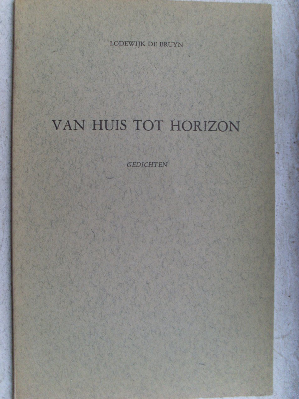 Van huis tot horizon Lodewijk De Bruyn