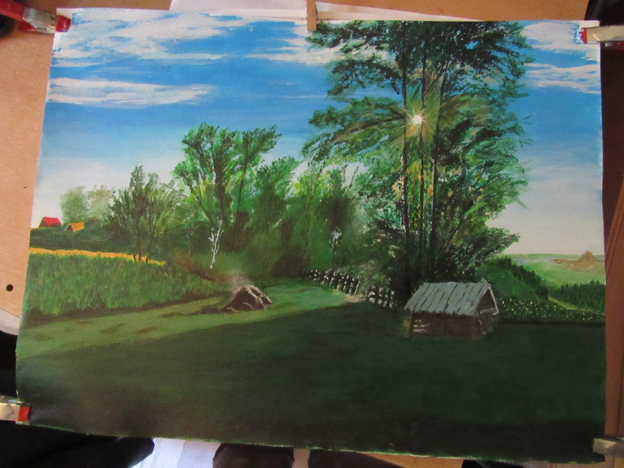 Acrylschilderijen