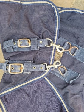 Paardendeken