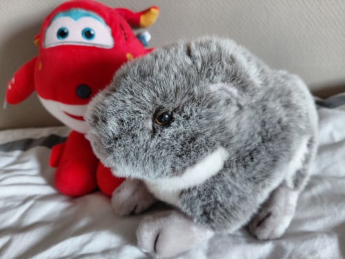 Knuffels
