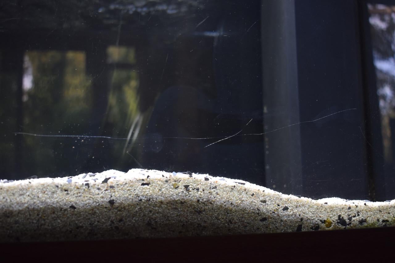 Aquarium jewel Rio plus kast