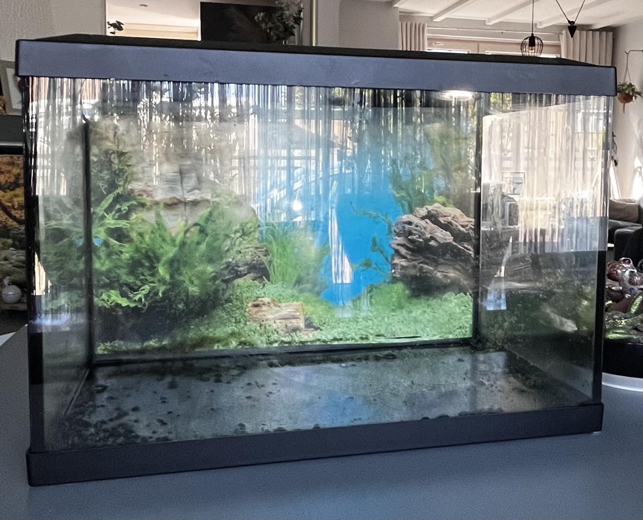 Aquarium