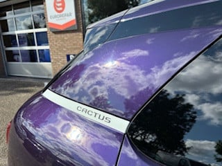 Citroen C4 Cactus e-thp 110pk shine navigatie | trekhaak afn. kogel | parke
