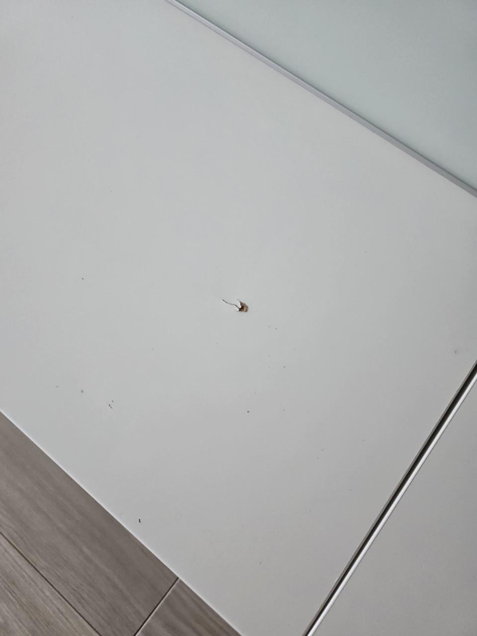 IKEA Besta Wand-/TV meubel (excl. inhoud)