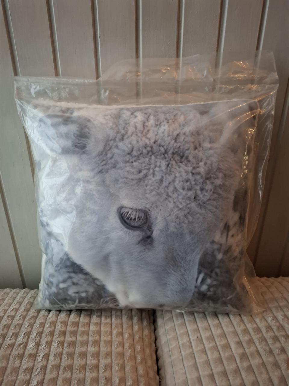 Kussen schaap (nieuw)