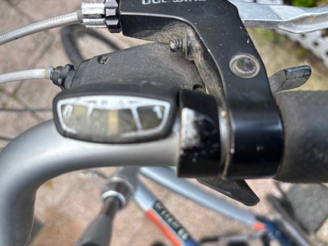 Gazelle Bahia herenfiets